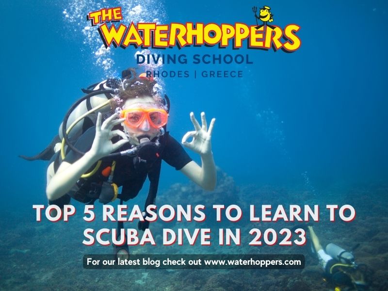 Top 5 reasons to learn to scuba dive in 2023